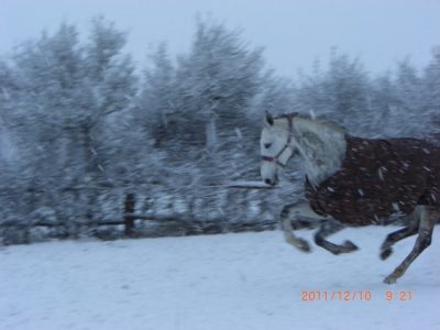 sonstiges_14_20180223_1411552022