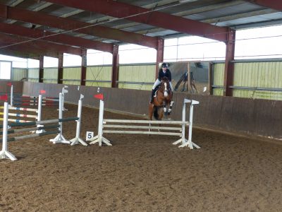 reitabzeichen_2017__9_20180715_1376108547