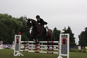 reitertage_2010__39_20171114_1030626550