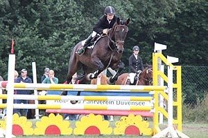 reitertage_2010__40_20171114_1232780943