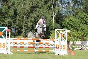 reitertage_2012__7_20171114_1714340315