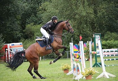 reitertage2016_12_20171102_1134219519