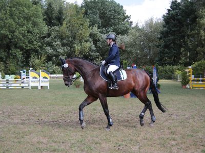 reitertage_2018_samstag_53_20181016_1293157157